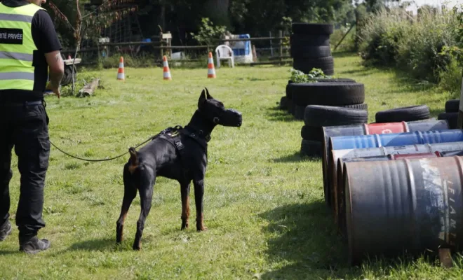 félicitations aux nouveaux maîtres chien en sécurité privée , Lens, Octavia Group Security