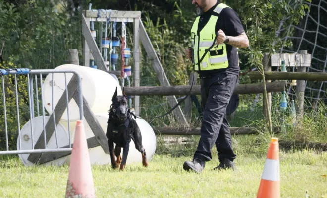 félicitations aux nouveaux maîtres chien en sécurité privée , Lens, Octavia Group Security